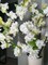 Jade White Cream Silk Cherry Blossom Flower Branches Set of 3 Pack 40'' Inches